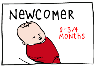 NewComer